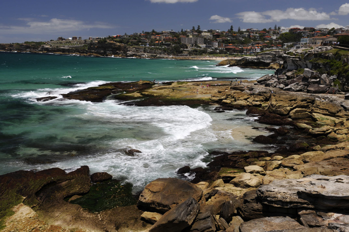 Between Bronte & Bondi Beach